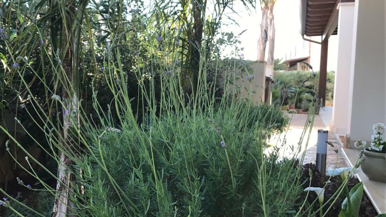 לינה וארוחת בוקר סן ויטו לו קאפו Cima Bianca מראה חיצוני תמונה