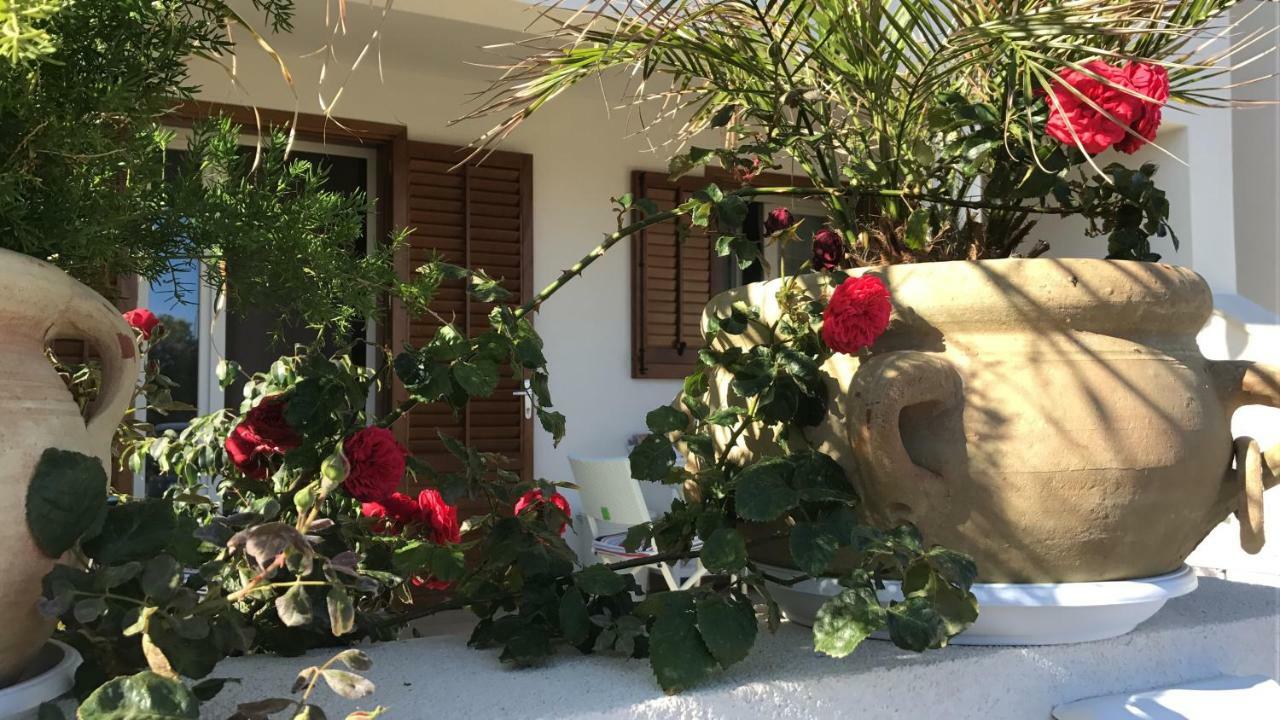 לינה וארוחת בוקר סן ויטו לו קאפו Cima Bianca מראה חיצוני תמונה