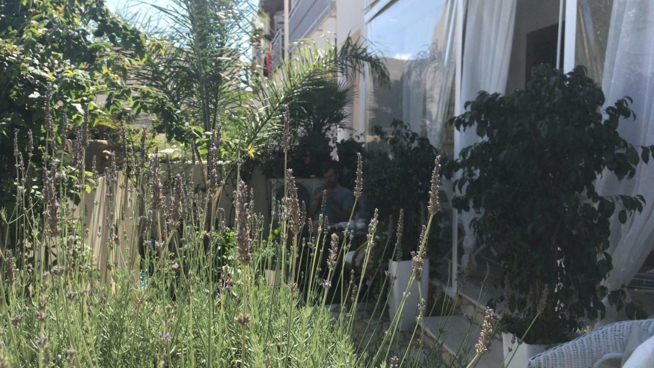 לינה וארוחת בוקר סן ויטו לו קאפו Cima Bianca מראה חיצוני תמונה